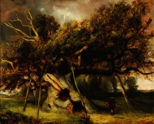 A Cowthorpe-tölgy alkotó: John Nicholas Rhodes