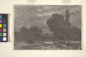Mocsaras táj (rézkarc és monoprint)