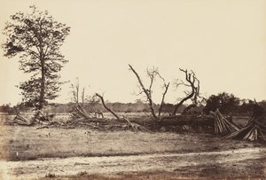 Extreme Line of Confederate Works, Cold Harbor., 1865. április (albumin nyomat szőtt papírra rögzítve)