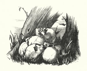 Vignetta, Róma ellenségei (metszet)