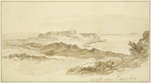Clevedon melletti part