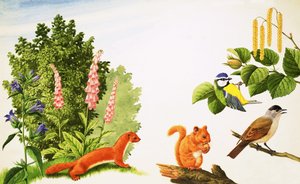 A mogyorófa