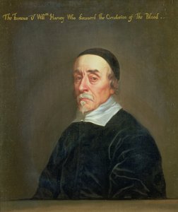 William Harvey (1578-1657) portréja