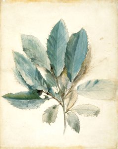  alkotó: John Ruskin