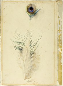 Pávatoll alkotó: John Ruskin