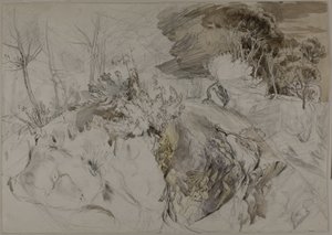 Cserjék és fák sziklás tájon alkotó: John Ruskin
