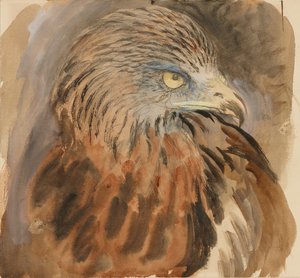 A sárkány feje, az Életből, 1870. augusztus 30-tól szeptember 1-ig. alkotó: John Ruskin
