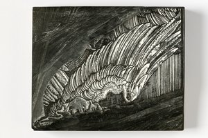 "Szárny" a Durertől (gravírozott fatömb) alkotó: John Ruskin