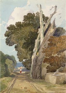 Villámcsapású spanyol gesztenyefa (wc és ceruza papíron) alkotó: John Sell Cotman