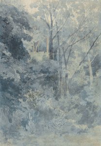 A Rokeby Parkban alkotó: John Sell Cotman