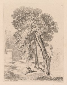 Liber Studiorum: Plate 18, Trees at Norwich Thorp, Norfolk alkotó: John Sell Cotman