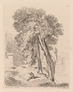 Liber Studiorum: Plate 18, Trees at Norwich Thorp, Norfolk, 1838. alkotó: John Sell Cotman
