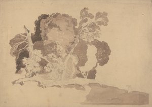 Fák tanulmányozása alkotó: John Sell Cotman