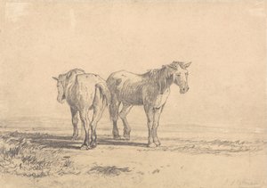 Két öreg ló áll egy mezőn alkotó: John Sell Cotman