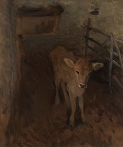 Egy Jersey borjú alkotó: John Singer Sargent