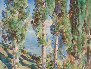 Korfu: Ciprusfák alkotó: John Singer Sargent