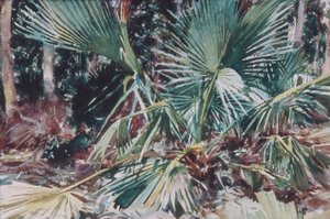 Palmettos, 1917 (wc, grafit és viaszkréta fehér szőtt papíron) alkotó: John Singer Sargent