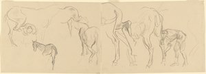 Tanulmányok a "Kálvária lovak patkolása a fronton" című tanulmányhoz [recto] alkotó: John Singer Sargent