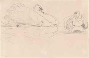 Hattyúk a vízben alkotó: John Singer Sargent