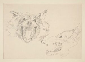 Két nézet egy farkasról alkotó: John Singer Sargent