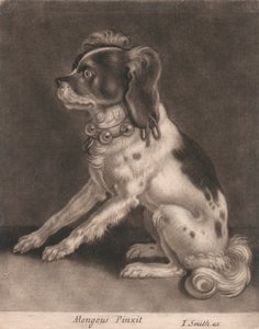 Kutya Harangnyakörvvel alkotó: John Smith