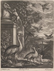 A Kings Birds alkotó: John Smith