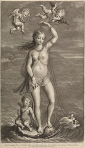 Galatea diadala alkotó: John Smith