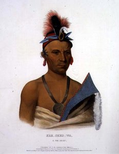 Kee-Shes-Wa, A Fox Chief, kocsma. írta: F.O.W. Greenough