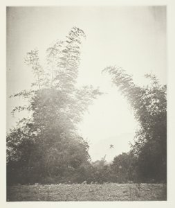 Bambusz annyi doboz, farm alkotó: John Thomson