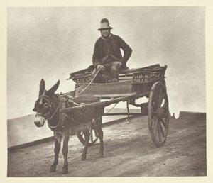 Black Jack, 1881. alkotó: John Thomson
