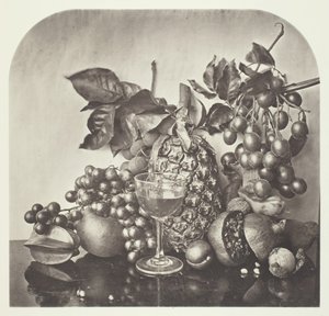Gyümölcs, c. 1868. alkotó: John Thomson