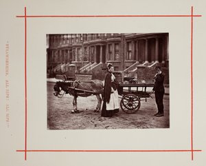 Eper. Minden érett! Teljesen érett!, 1877. alkotó: John Thomson