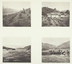 A teanövény; A teanövény; Yenping Rapids; Egy kis Rapid Boat alkotó: John Thomson