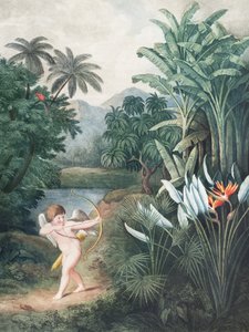 Ámor, aki a szerelemmel ihleti a növényeket – a Flora-templomból (1807) – Robert John Thornton alkotó: John Thornton