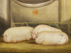 Három javított Leicester egy tollban az 1858-as Smithfield Club karácsonyi kiállításán, 1858-ban alkotó: John Vine