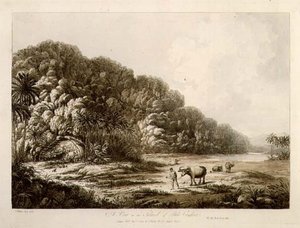 Kilátás Pulo Condor szigetén, a "Kilátások a déli tengeren" pubból. 1792 (rézkarc) alkotó: John Webber
