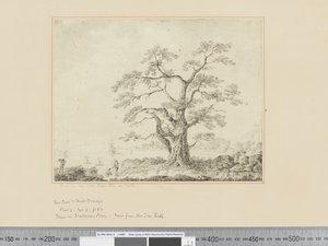 F.44 Kilátás a tenger partjára, nagy fa a közepén, 1783-84 körül alkotó: John Webber