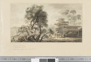 F.46 Kilátás egy sírról a tenger partján, 1783-84 körül (akvarell) alkotó: John Webber