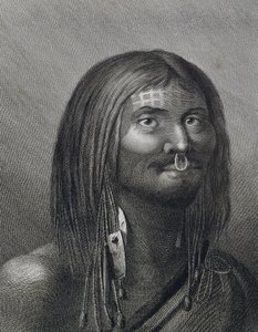 Polinéz férfi a Nootka Soundról, John Webber (1752-1793) illusztrációja James Cook (1728-1779) harmadik útja során (1776-1779), alkotó: John Webber