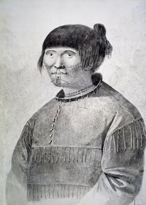 Unalaska szigetéről származó tetovált honos portréja alkotó: John Webber