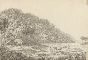Kilátás Pulo Condore szigetére alkotó: John Webber