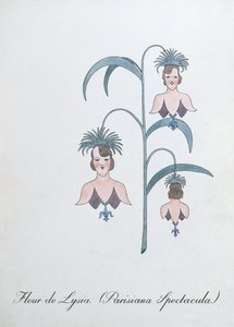Fleur de Lysia (Parisiana Spectacula.), illusztráció John Weir „A botanika hamis könyvéből”