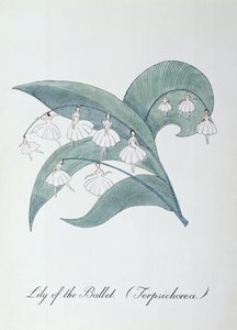 A balett liliomja (Terpsichore.), illusztráció: John Weir „A botanika hamis könyvéből”