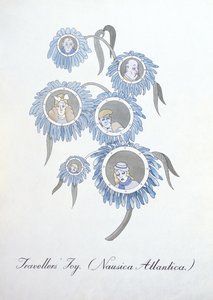 Utazók öröme (Nausica Atlantica.), illusztráció a Botanika hamis könyvéből, John Weir alkotó: John Weir