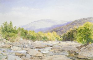 Táj: Kilátás a Catskill-patakra, 1867. alkotó: John William Hill