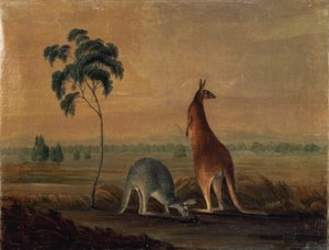 Kenguruk egy tájban, 1819 körül alkotó: John William Lewin
