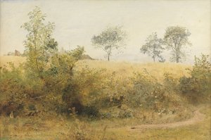 A denevér szédítő szárnysal kezdődik – Árpatábla a sövény fölött, 1885 (wc és ceruza kikarcolással a papíron)
