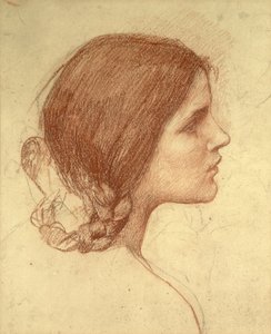 Egy lány feje, 1905 körül (piros kréta papíron) alkotó: John William Waterhouse