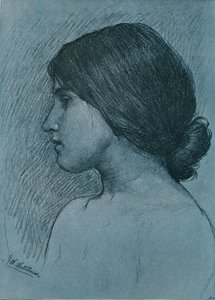 Tanulmány egy fejről, c1899 alkotó: John William Waterhouse
