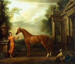 A Hampton Court-i gesztenye arab, 1726 körül alkotó: John Wootton
